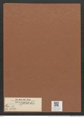 Surirella reflexa Ehr. (de-Toni-Nr.: Genus 53, Species 2323) Zeichnungen Sammlung Grunow Mappe 02521 (Herbarium_W_Grunow_drawings_Folder_02521)